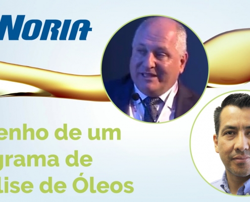 Desenho de um Programa de Análise de Óleos